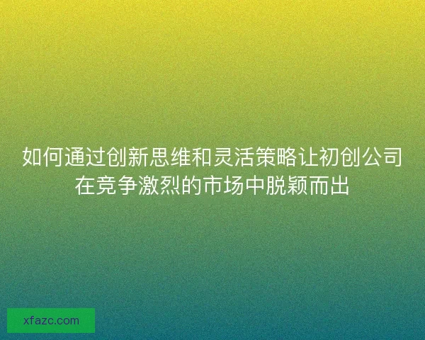 如何通过创新思维和灵活策略让初创公司在竞争激烈的市场中脱颖而出